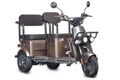 Электротрицикл Wanshida U1-X 60V 800Вт