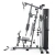 Многофункциональный силовой тренажер DFC Home Gym D70204 / стек 80 кг