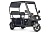 Электротрицикл Wanshida NIPLA 570 60V 1000Вт